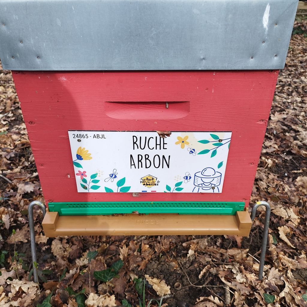 La ruche Arbon