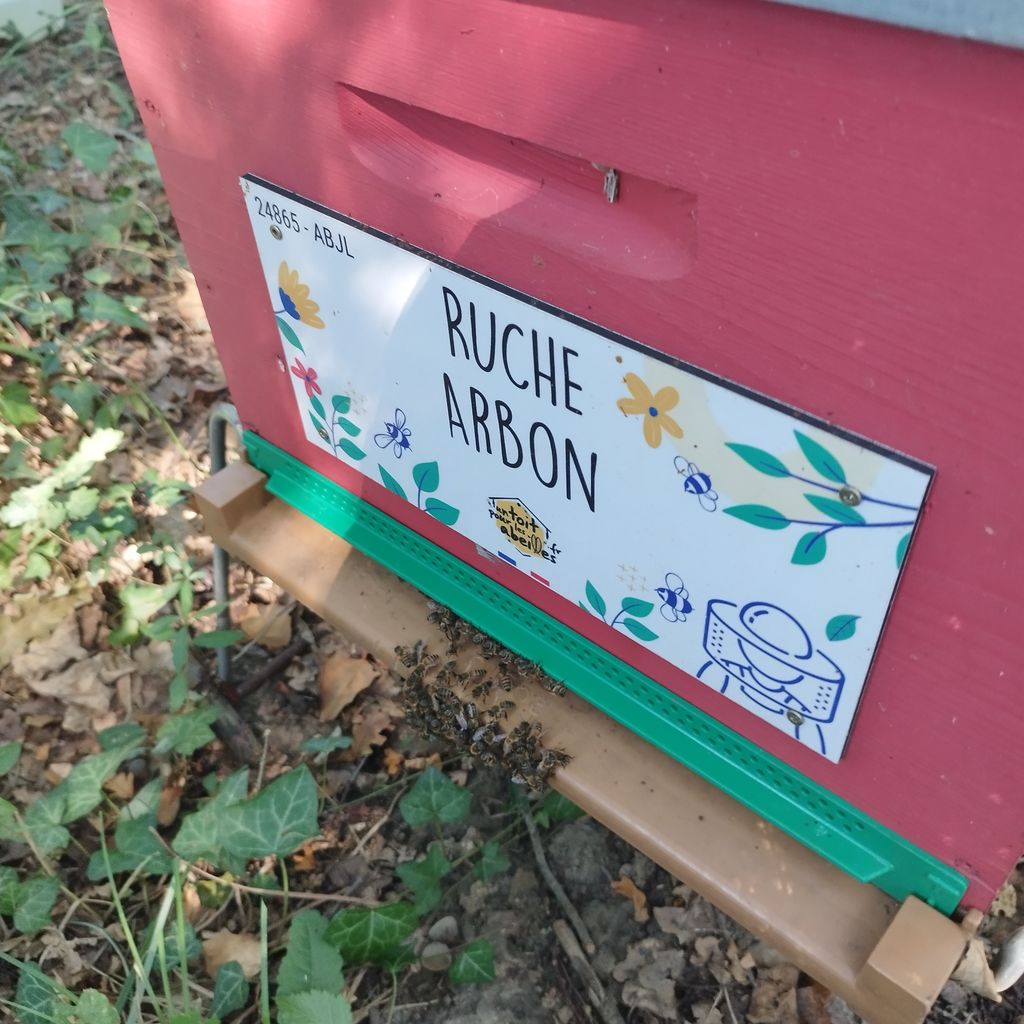 La ruche Arbon