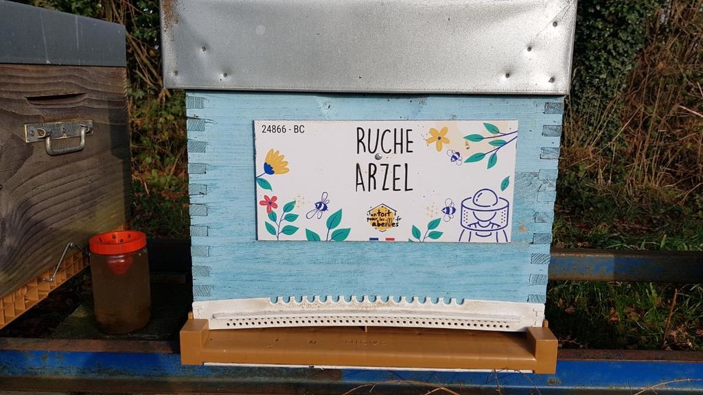 La ruche Arzel