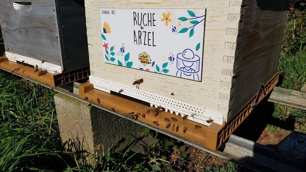 La ruche Arzel