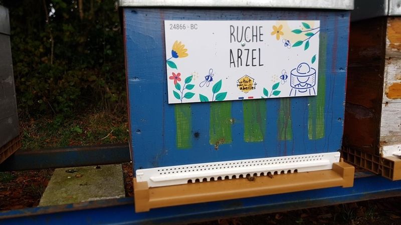 La ruche Arzel