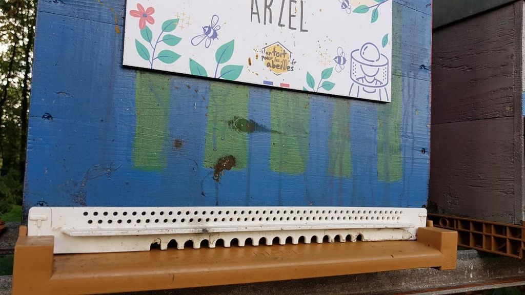 La ruche Arzel