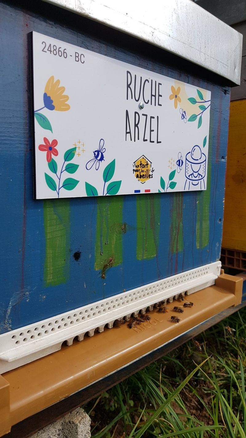 La ruche Arzel