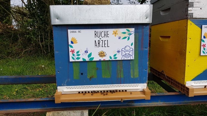 La ruche Arzel