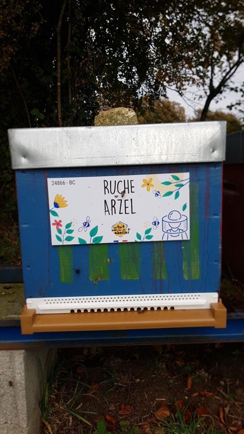 La ruche Arzel