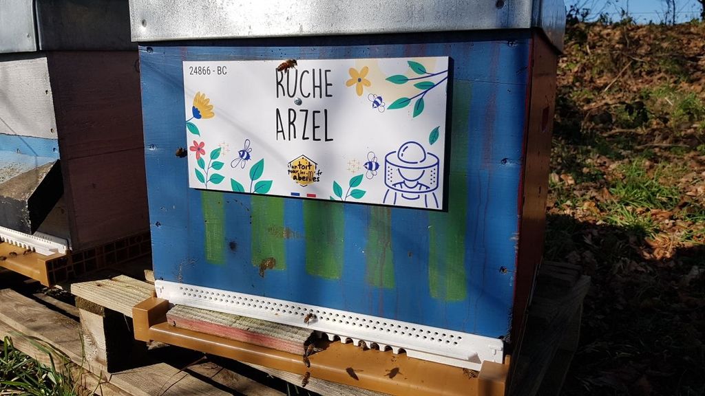 La ruche Arzel