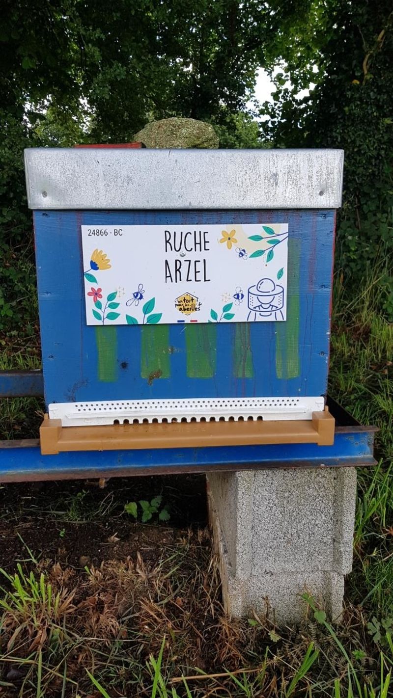La ruche Arzel