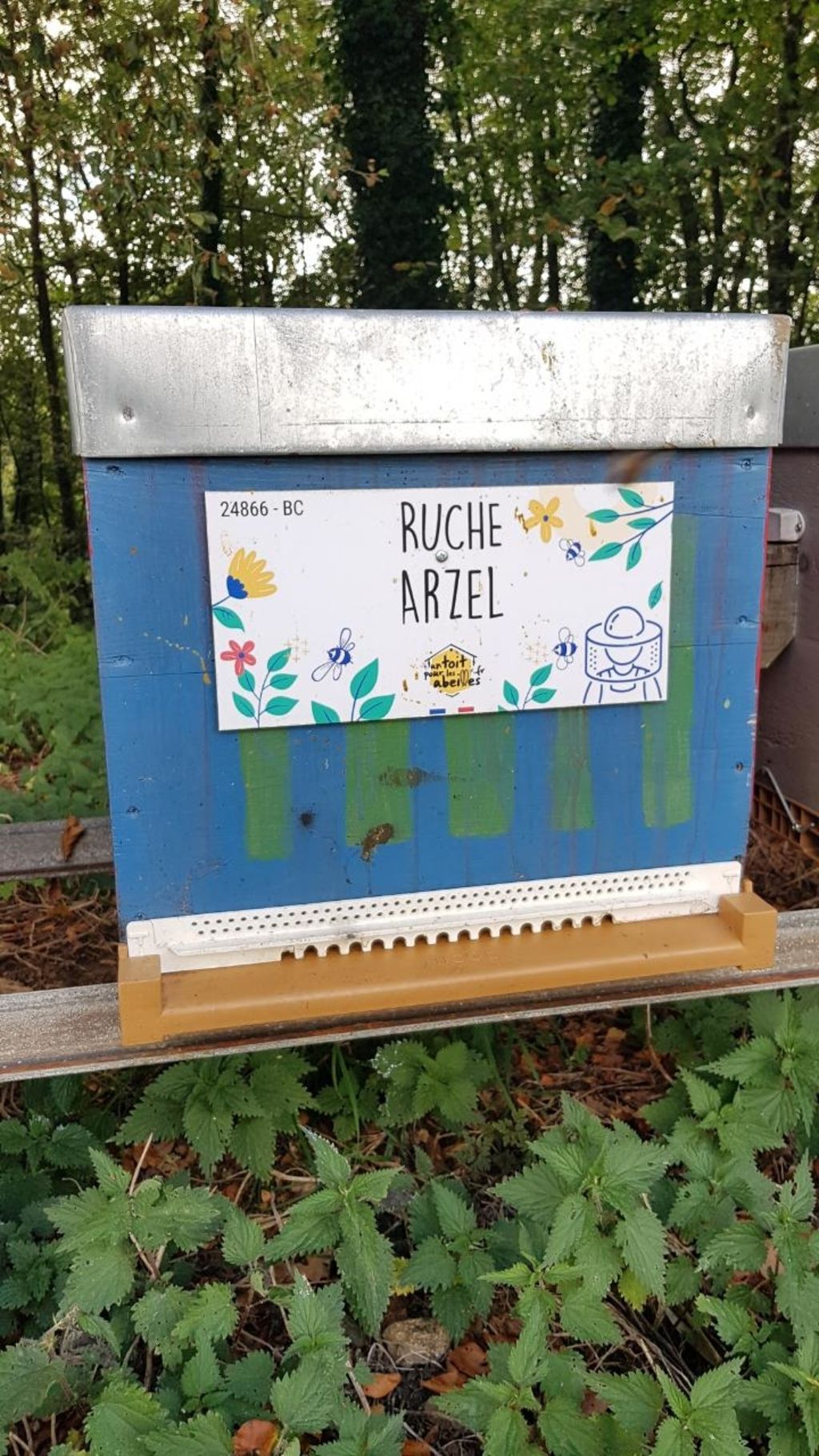 La ruche Arzel
