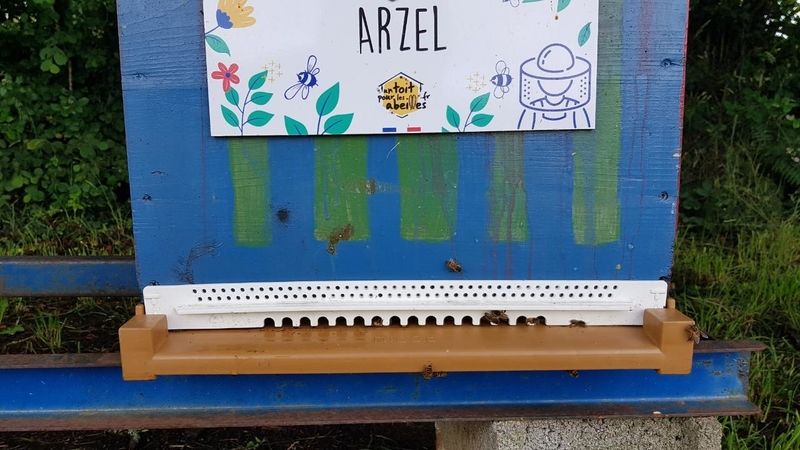La ruche Arzel