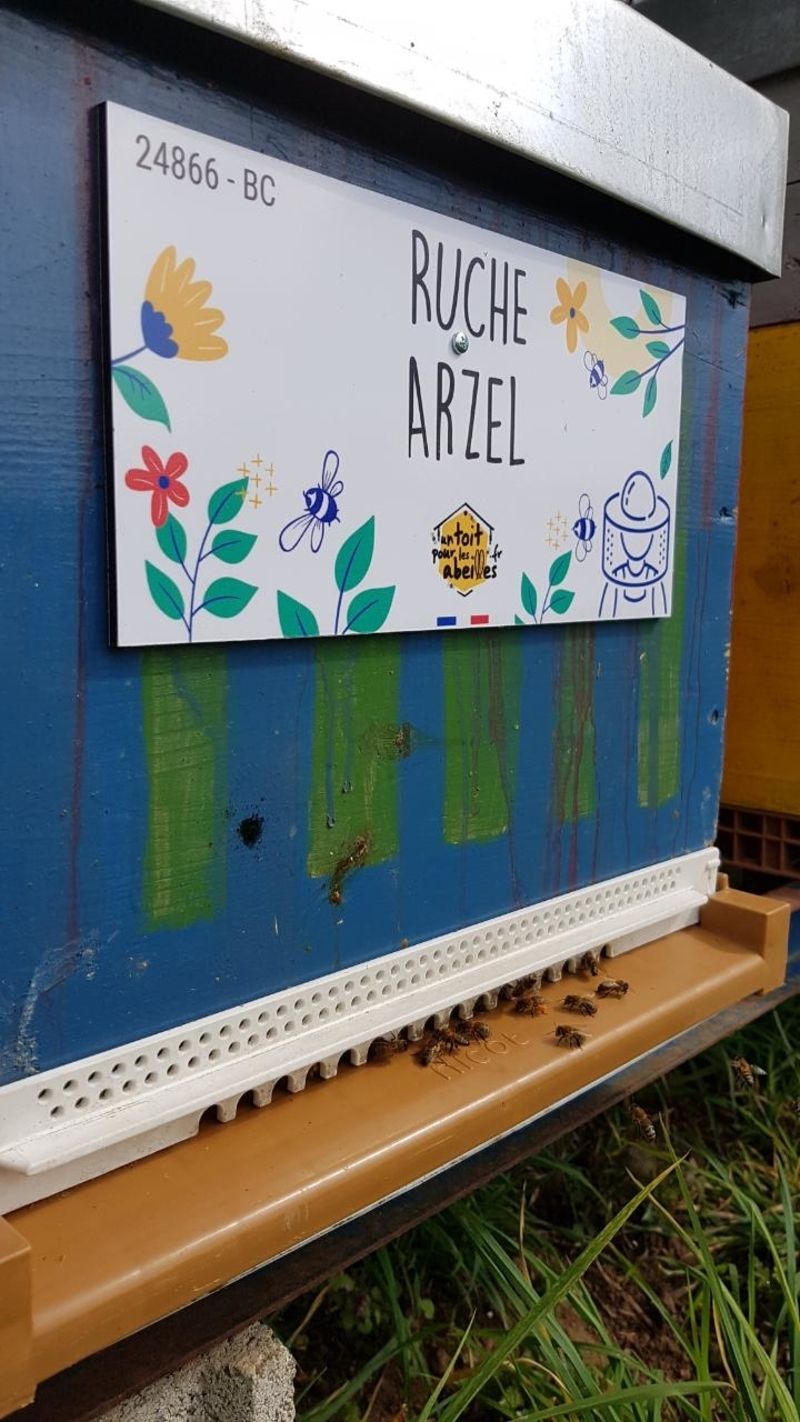 La ruche Arzel