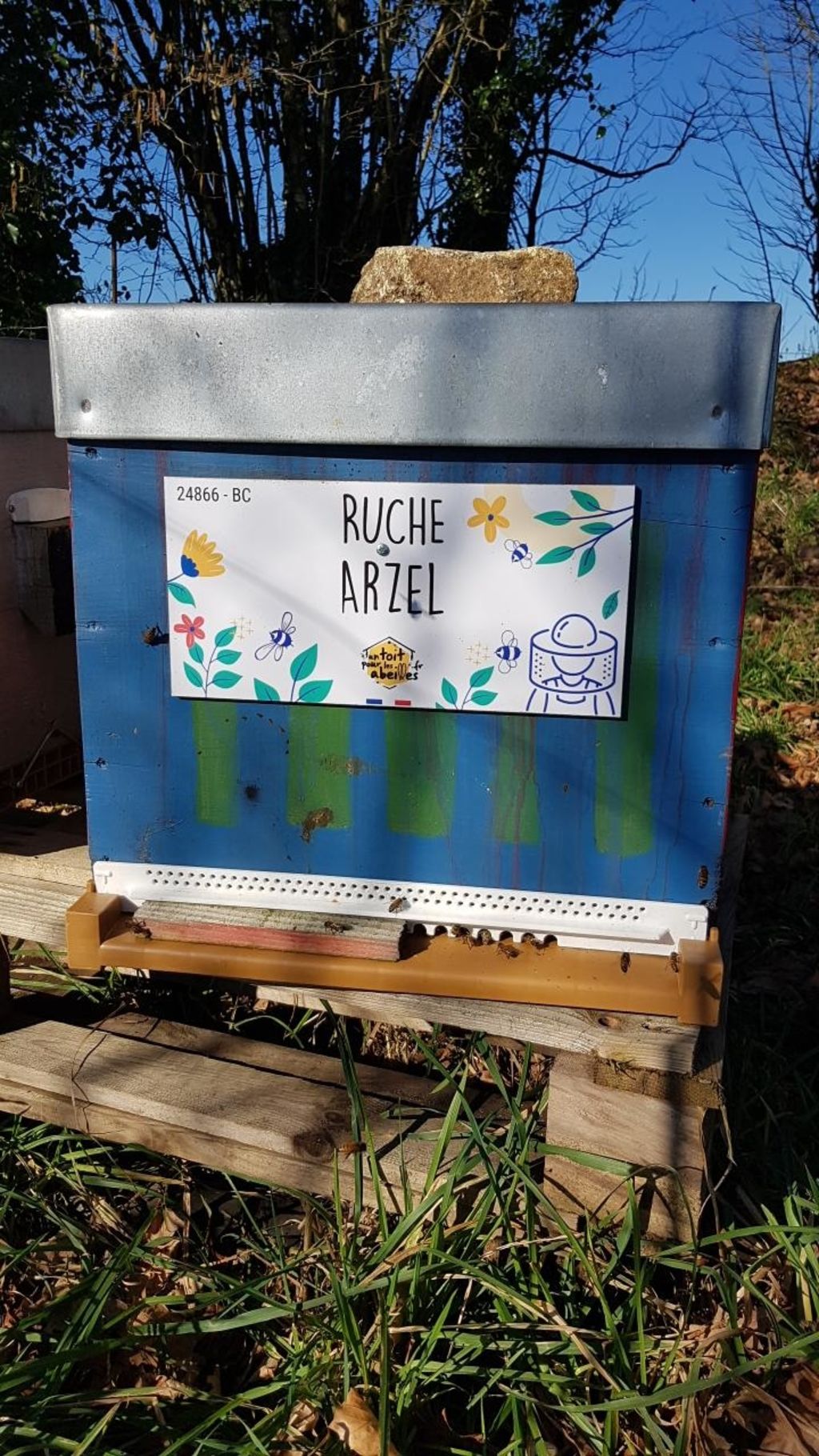La ruche Arzel