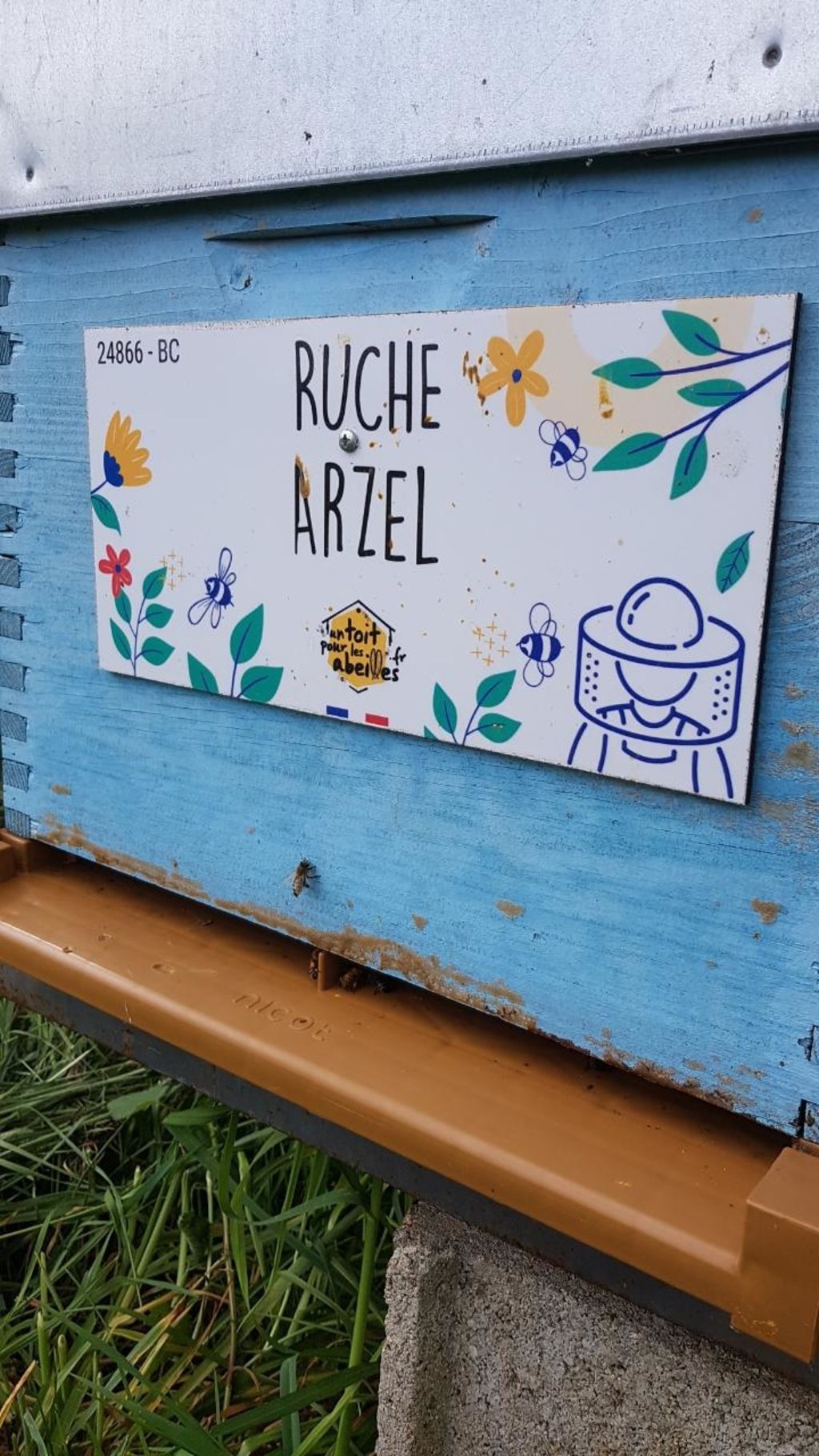 La ruche Arzel