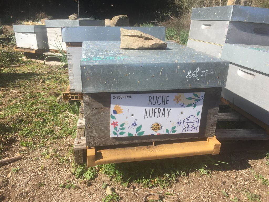 La ruche Aufray