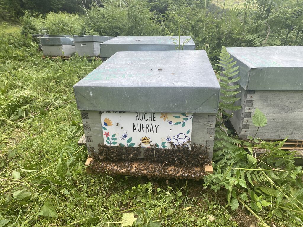 La ruche Aufray