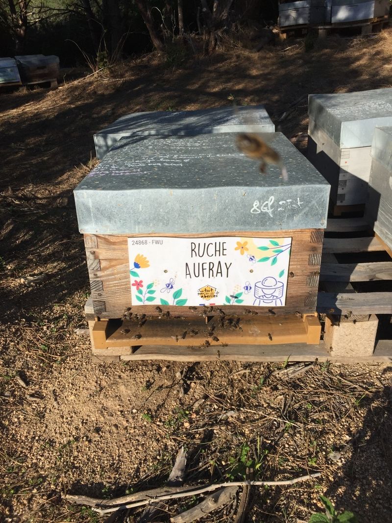 La ruche Aufray