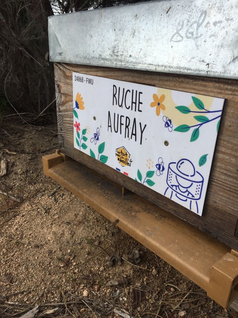 La ruche Aufray