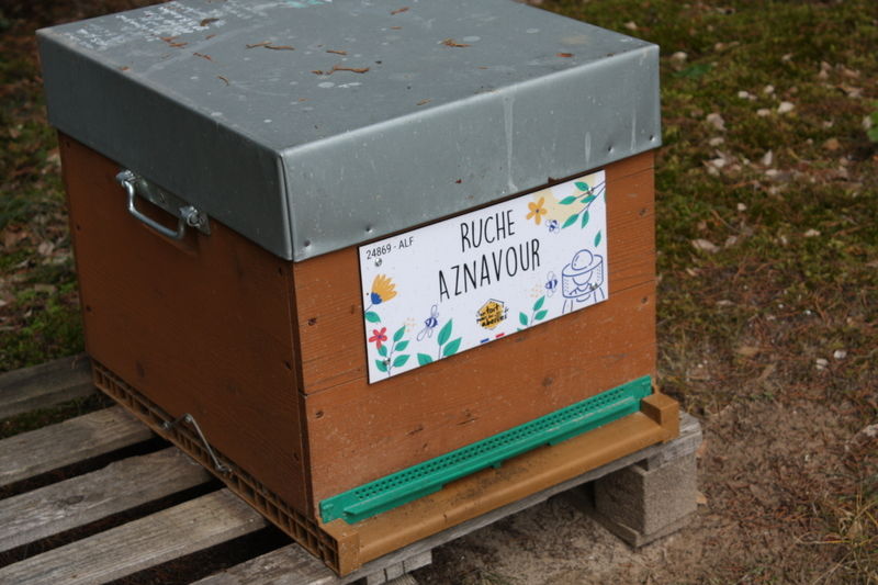 La ruche Aznavour