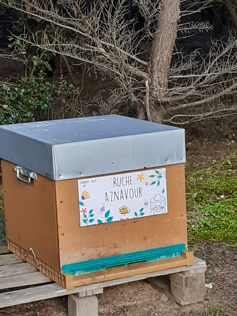 La ruche Aznavour