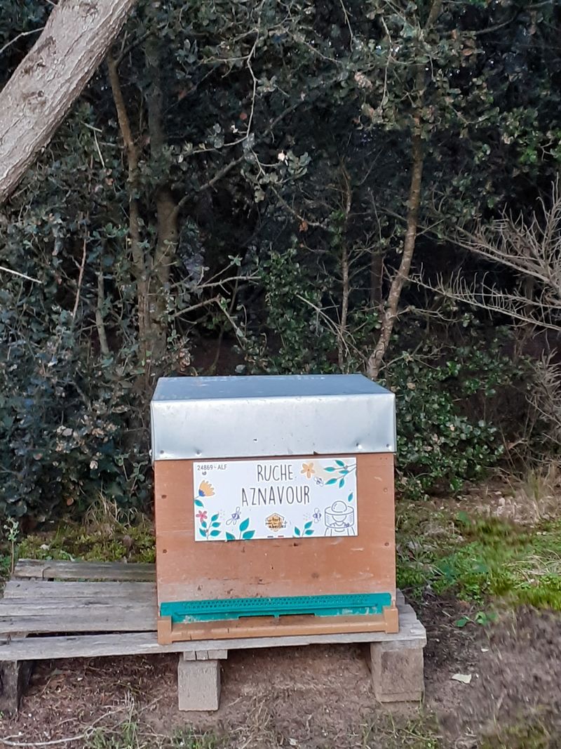 La ruche Aznavour