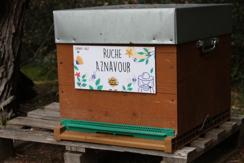 La ruche Aznavour