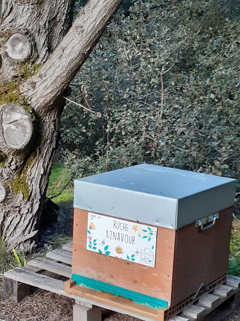La ruche Aznavour