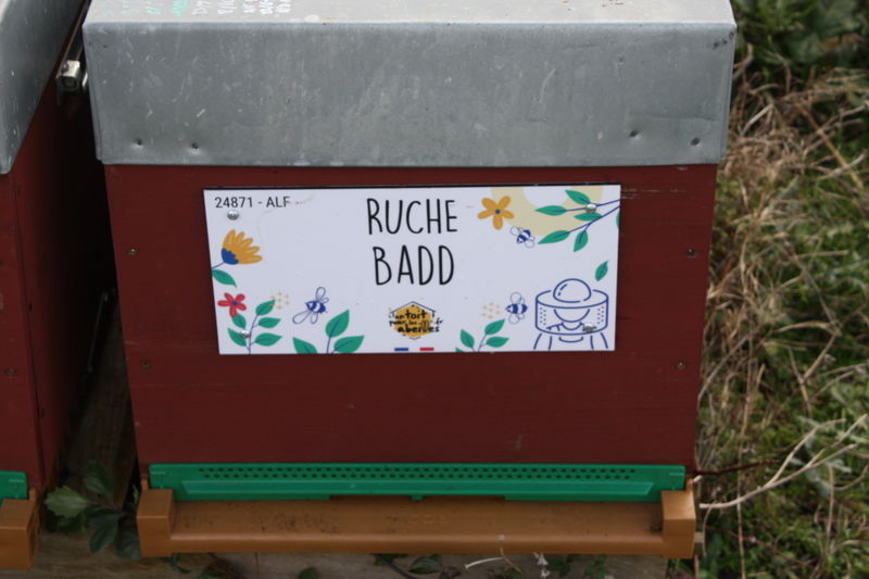 La ruche Badd