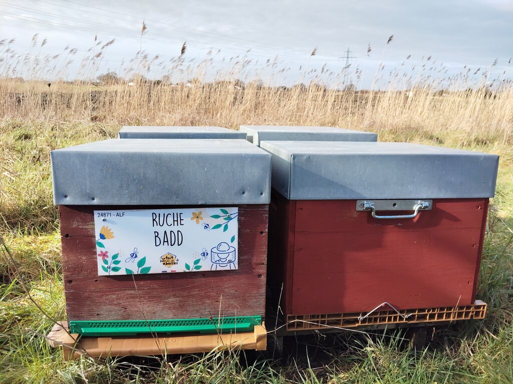 La ruche Badd