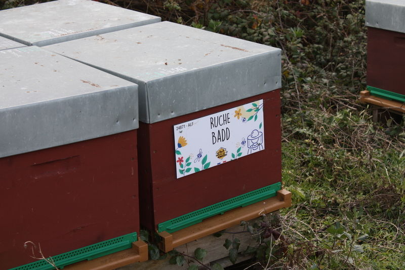 La ruche Badd