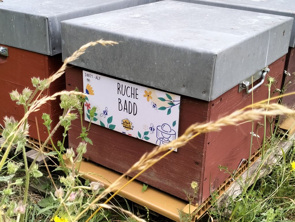 La ruche Badd