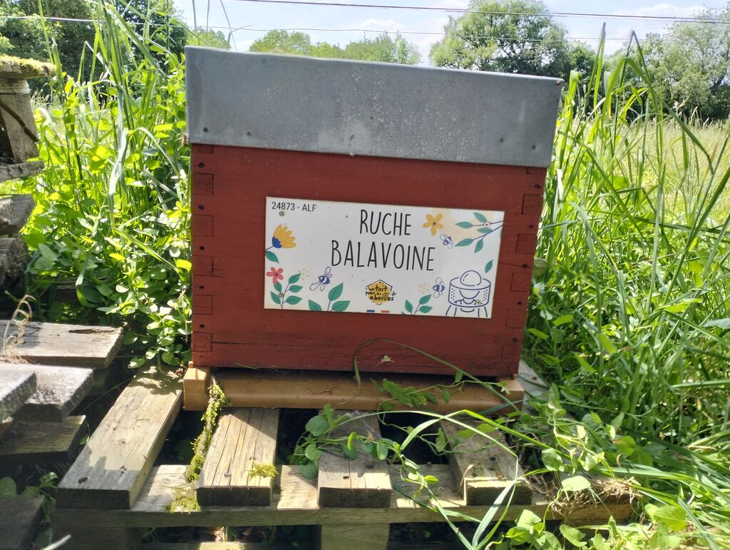 La ruche Balavoine