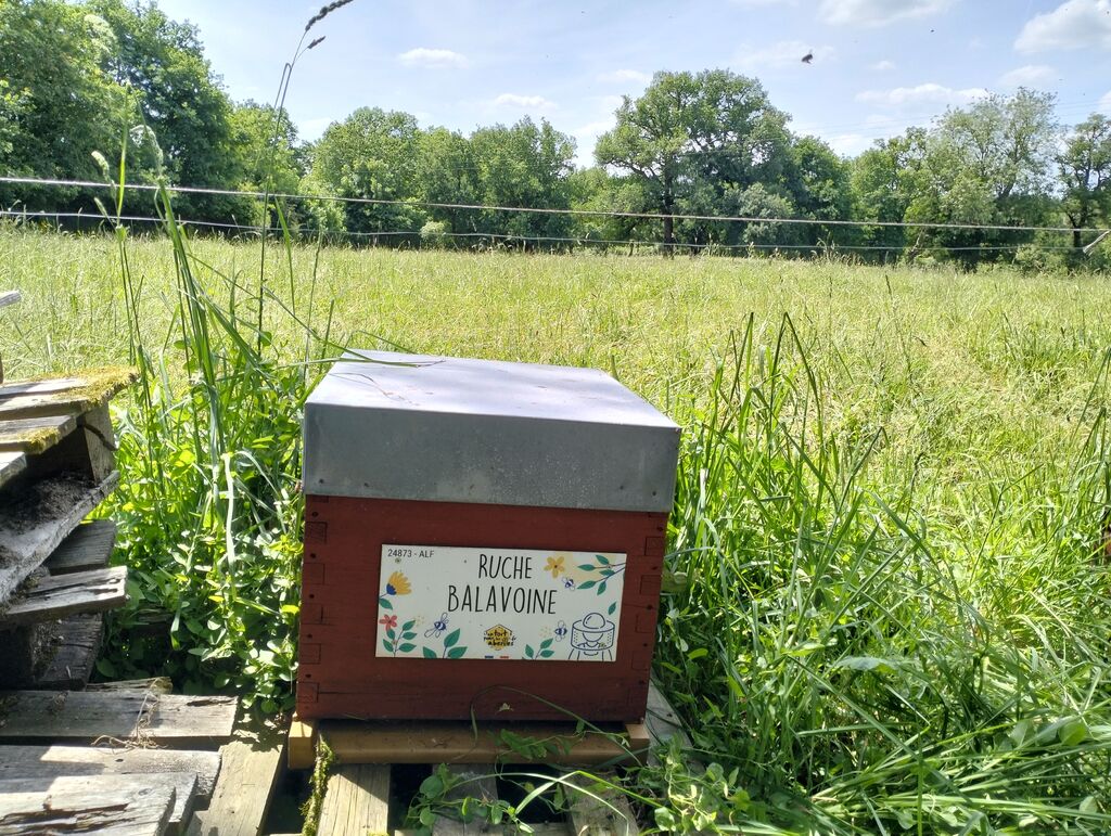 La ruche Balavoine
