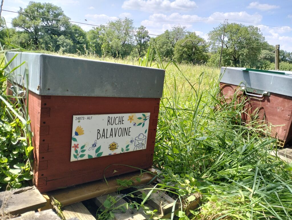La ruche Balavoine