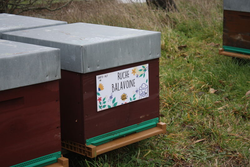 La ruche Balavoine