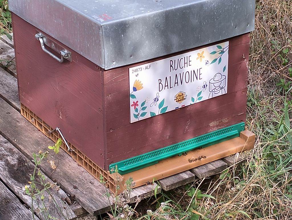 La ruche Balavoine