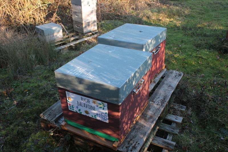 La ruche Balavoine
