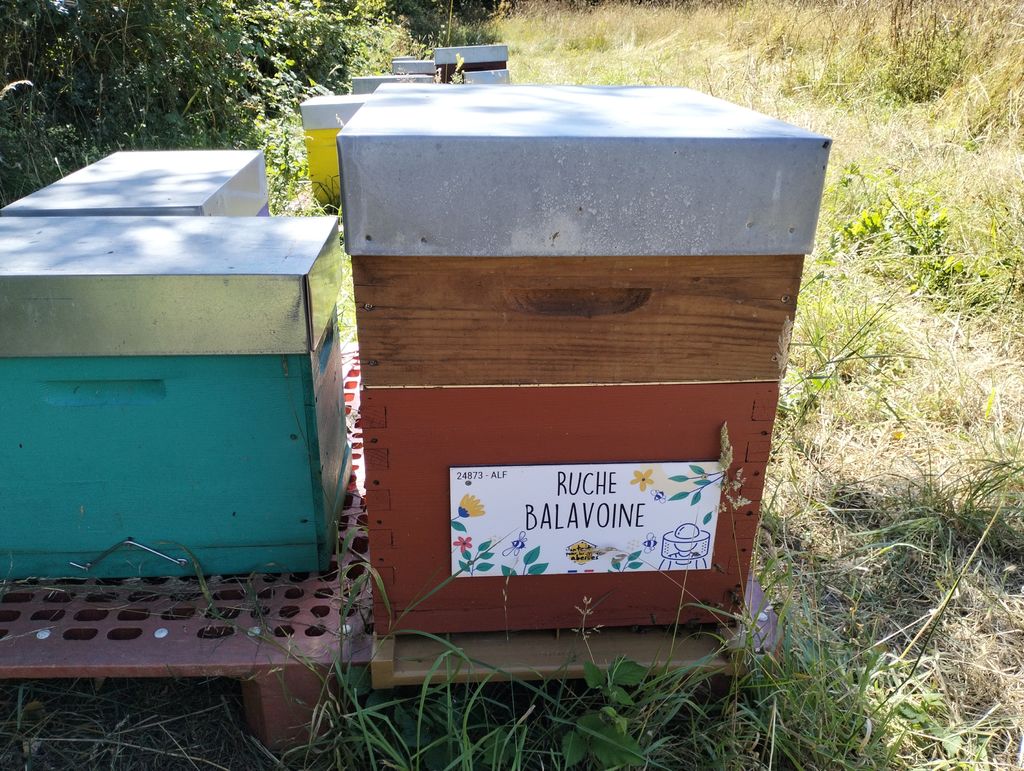 La ruche Balavoine