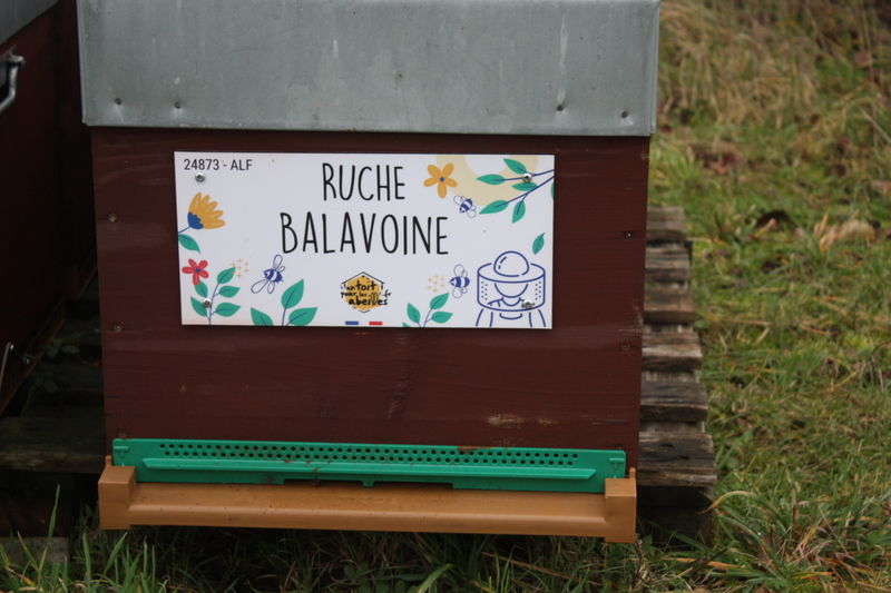 La ruche Balavoine