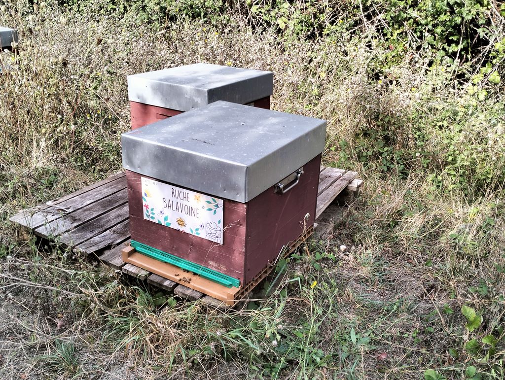 La ruche Balavoine