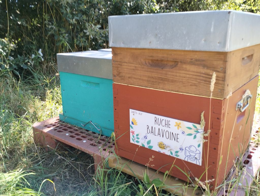 La ruche Balavoine