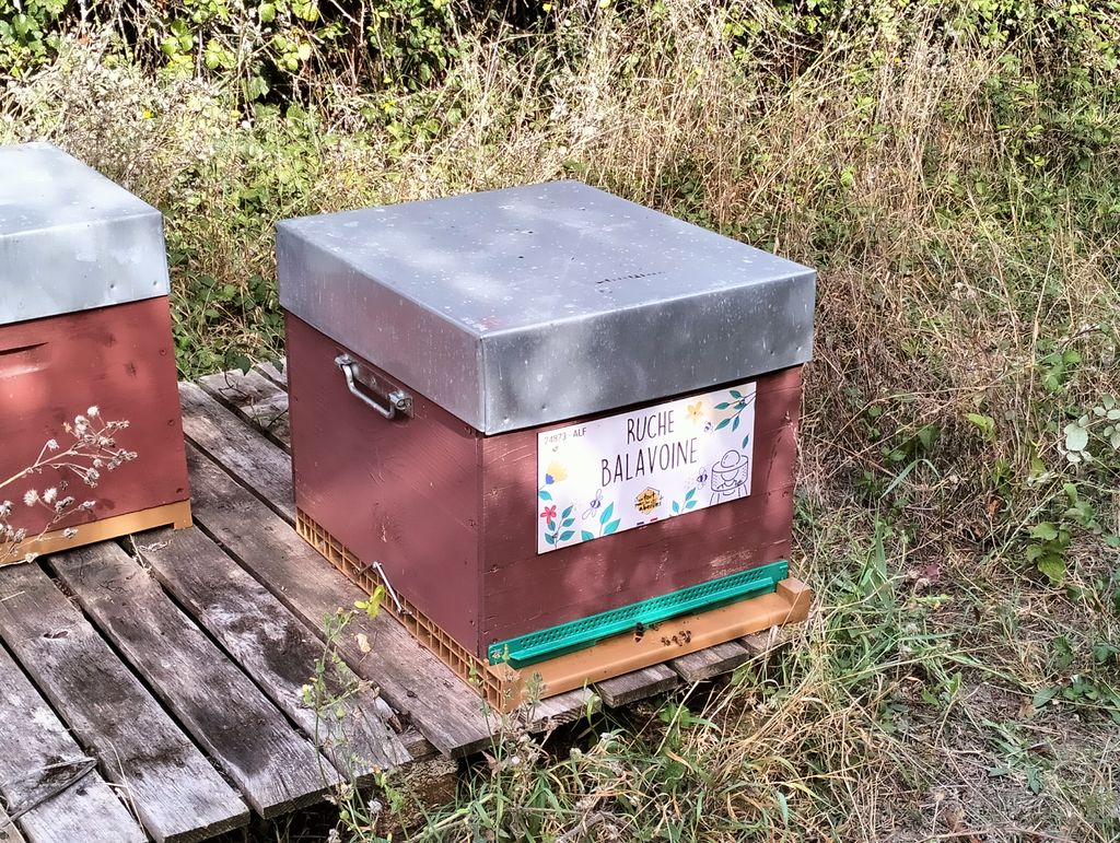 La ruche Balavoine