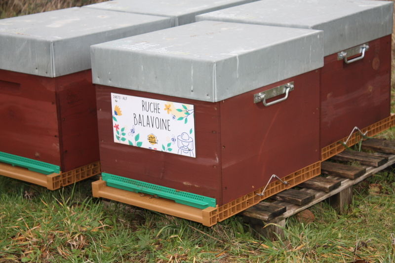 La ruche Balavoine