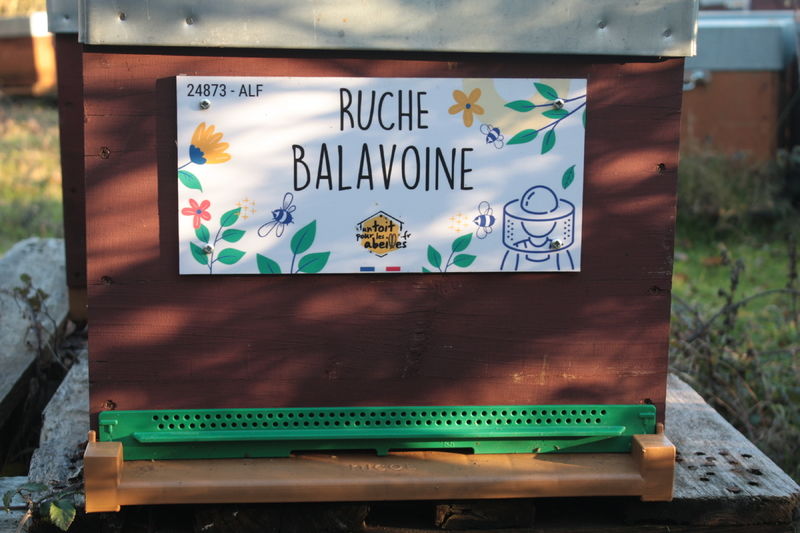 La ruche Balavoine