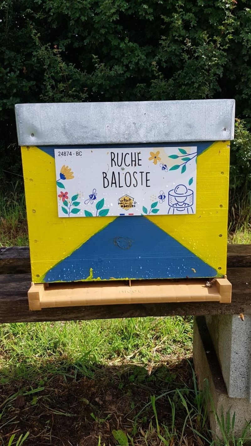 La ruche Baloste
