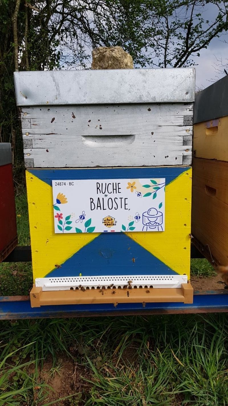 La ruche Baloste