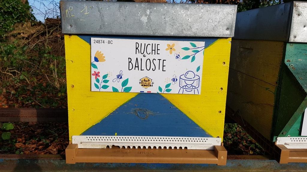 La ruche Baloste