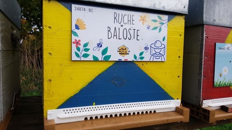 La ruche Baloste