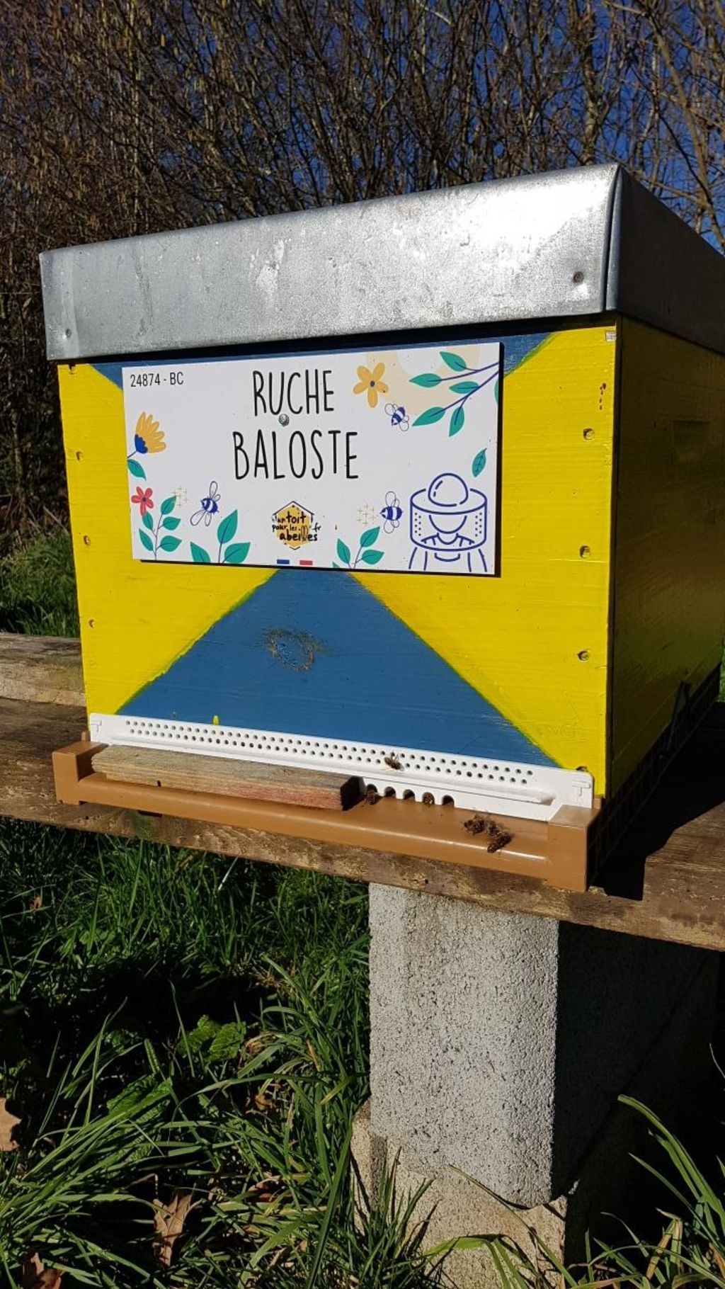 La ruche Baloste