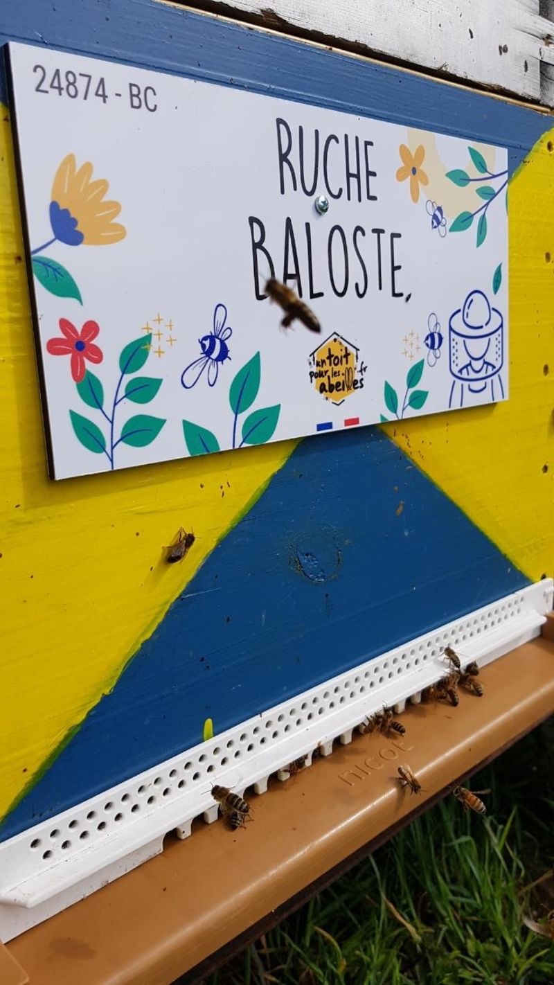La ruche Baloste