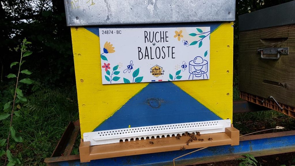 La ruche Baloste