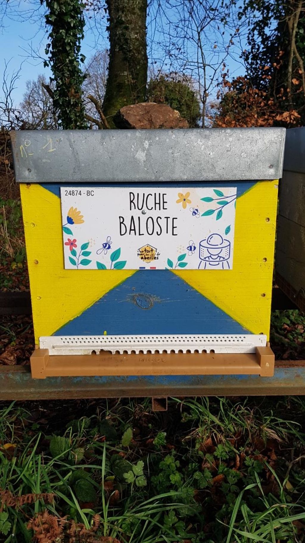 La ruche Baloste